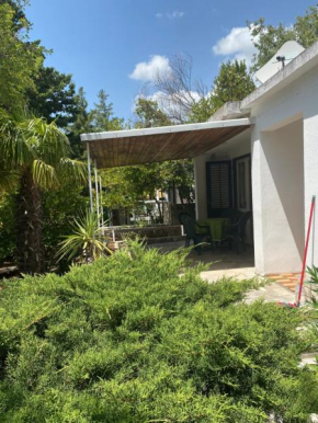 Bungalow